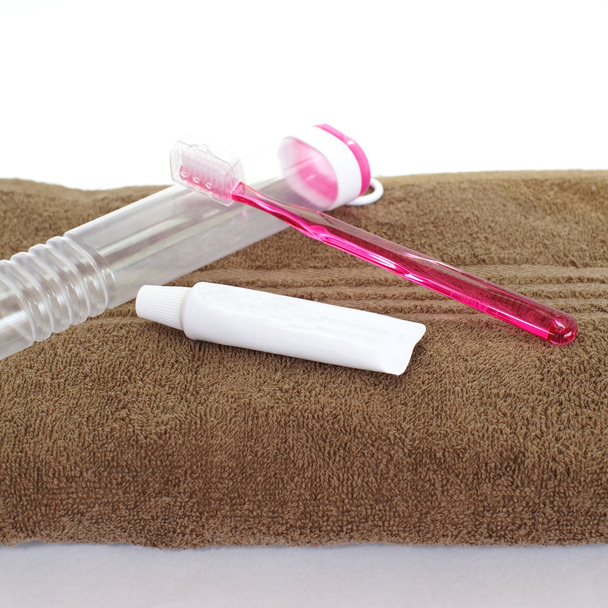 Toothbrush in a plastic case - 写真・画像