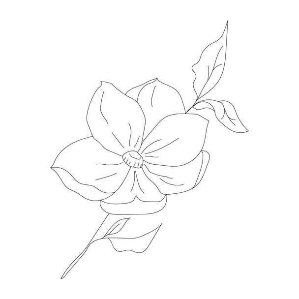 Minimalism line drawing. Flower vector one line art. Botanical Sketch Vector Illustration. Nature vector Line drawing. - Vettoriali, immagini