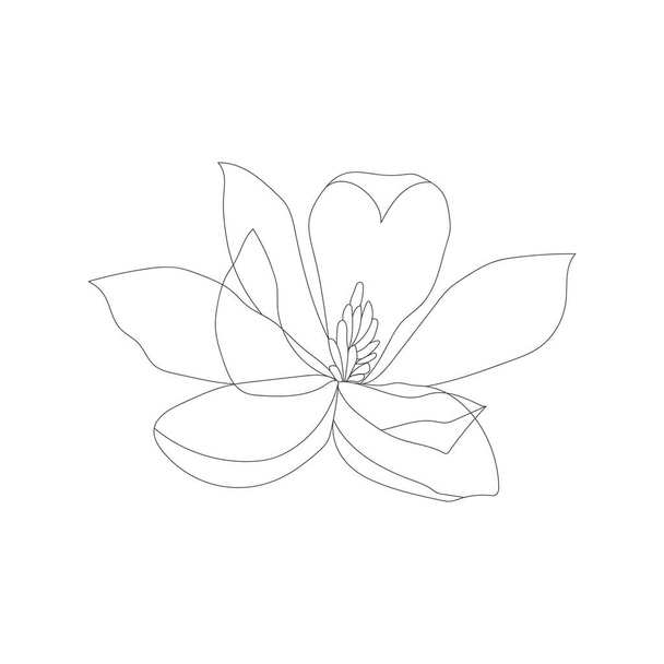 Minimalism line drawing. Flower vector one line art. Botanical Sketch Vector Illustration. Nature vector Line drawing. - Vecteur, image