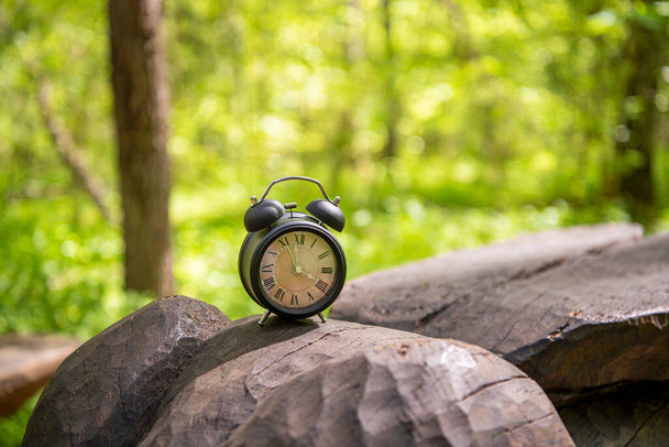 Ретро будильник в зеленом лесу. Абстрактное фото времени. - Фото, изображение