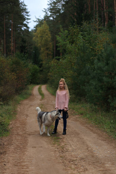 Dziewczyna z husky spacery w lesie. - Zdjęcie, obraz