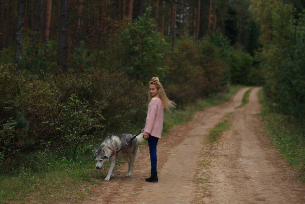 Een meisje met een husky wandelingen in het bos. - Foto, afbeelding