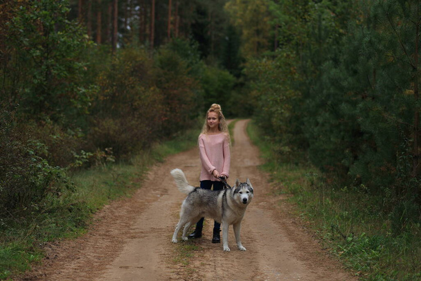 Una ragazza con un husky cammina nella foresta. - Foto, immagini