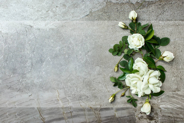 Stilvolle Rosen lagen flach. Weiße Rosen umranden pastellgrauen Hintergrund mit Platz für Text. Glücklicher Muttertag, florale Grußkarten-Attrappe. Internationaler Frauentag. Valentinstag - Foto, Bild
