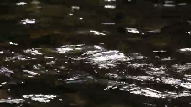 Ποτάμι του ποταμού Μάουντεν. Ιστορικό για χαλαρωτικό θάλαμο ήχου περιβάλλοντος. Φύση έννοια με χαλαρωτικό ήχο του ρεύματος του νερού - Πλάνα, βίντεο