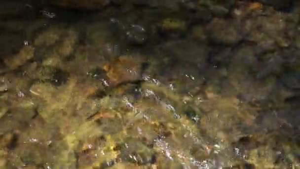 A hegyi folyó patakja. Háttér a relaxációs környezeti hangkamra. Természet koncepció pihentető hangú vízfolyás - Felvétel, videó