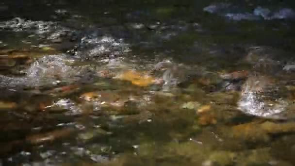 Ripple of mountain river stream. Background for relax ambient sound chamber. Nature concept with relaxing sound of water stream - Footage, Video