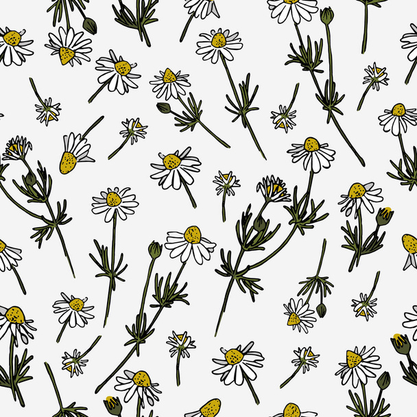 Chamomile vector pattern. Herbal doodle. Camomile set. Daisy ornament.  - Διάνυσμα, εικόνα