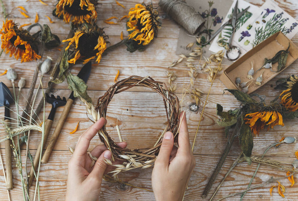 Girl making wreath in oats spikelets. Dried herbs and dried flowers for making herbarium - Photo, Image