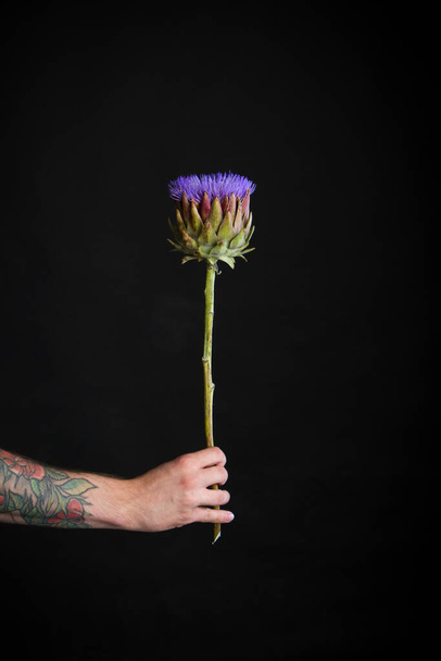 Чоловіча татуйована рука тримає одну фіолетову квітку артишоку на чорному тлі, вітальна листівка або концепція
 - Фото, зображення