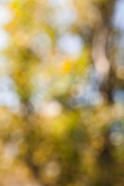 Soyut sonbahar arkaplanı - Fotoğraf, Görsel