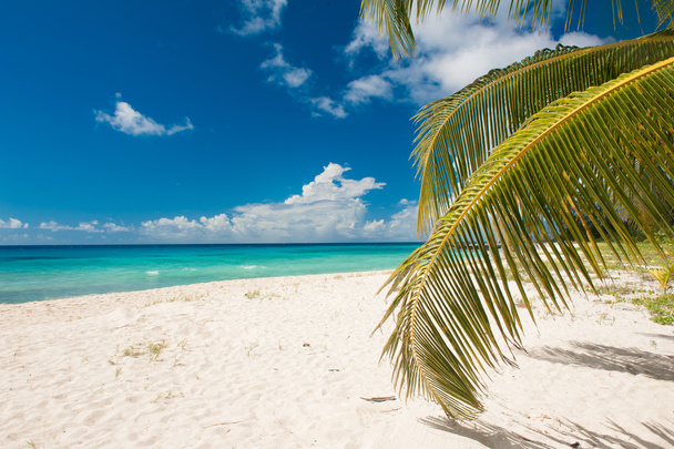 Барбадос
 - Фото, изображение