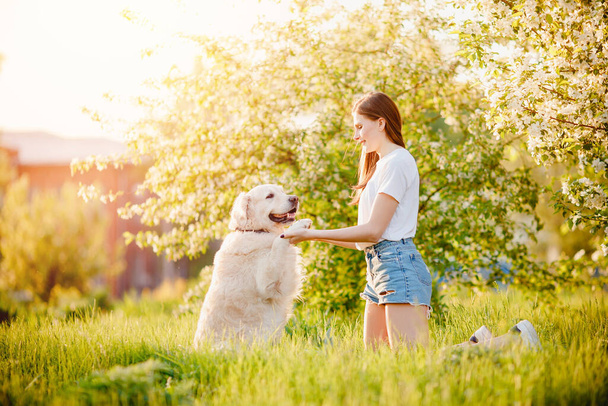 Beautiful woman cynologist playing with her dog Labrador retriever give paw in summer park - Photo, image