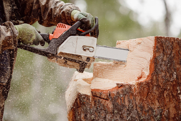 木材カッターのクローズアップ木材ジャックは男チェーンソーの木です - 写真・画像