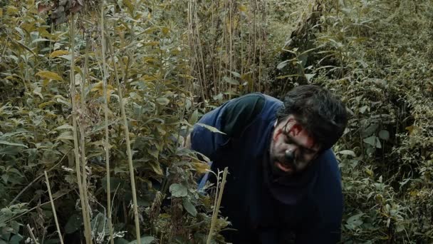 Zombie na ziemi w krzakach - Materiał filmowy, wideo