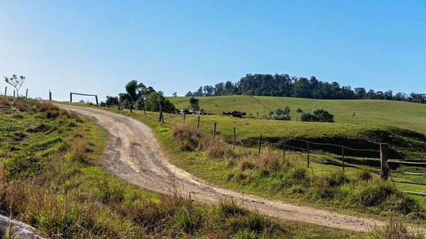 Un camino de tierra que conduce al lado de los potreros vallados de una granja lechera australiana en el parque nacional Eungella - Foto, Imagen