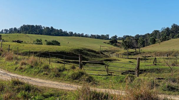 Les cours clôturées d'une ferme laitière australienne avec des pâturages vallonnés dans le parc national d'Eungella - Photo, image