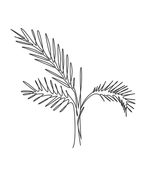 One single line drawing palm faux areca leaf vector illustration. Tropical leaves minimalistic style, floral pattern concept for poster, wall decor print. Modern continuous line graphic draw design - Vector, imagen