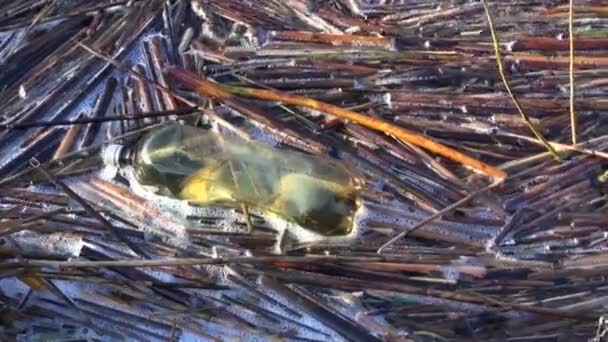 Poluição da natureza - garrafa de plástico na água do lago
 - Filmagem, Vídeo
