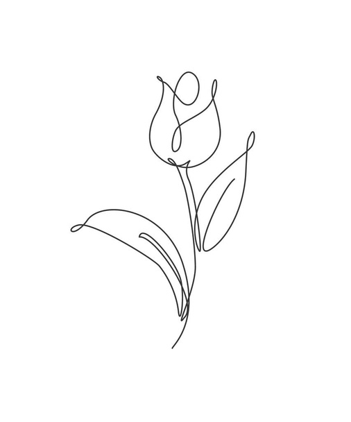 One single line drawing beauty fresh tulip flower vector illustration. Minimal tropical floral style, love romantic concept for poster, wall decor print. Modern continuous line graphic draw design - Vettoriali, immagini