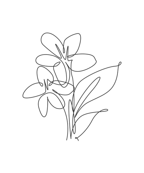 One single line drawing beauty jasmine flower vector illustration. Minimal tropical floral style, love romantic concept for poster, wall decor print. Modern continuous line graphic draw design - Vektör, Görsel