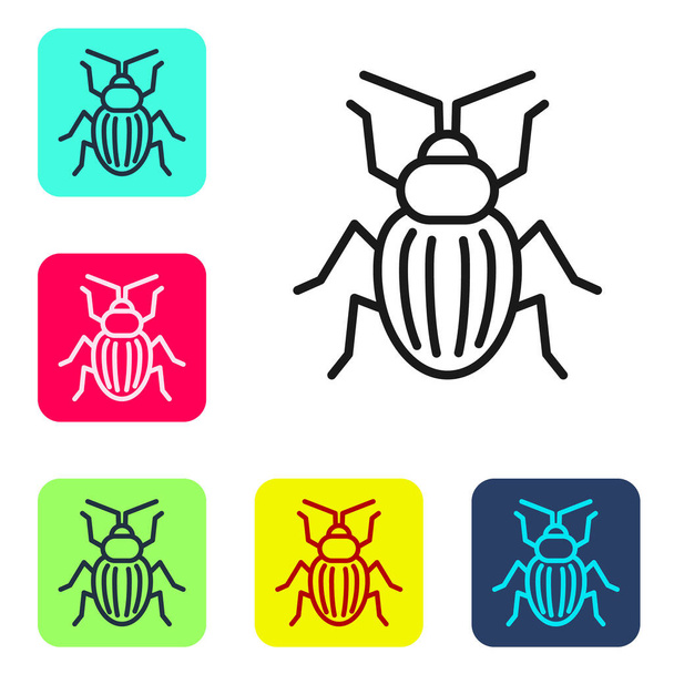 Icono de escarabajo Chafer de línea negra aislado sobre fondo blanco. Establecer iconos en botones cuadrados de color. Vector. - Vector, Imagen