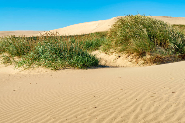 Toulavá duna Rubjerg Knude na pobřeží Severního moře v Dánsku - Fotografie, Obrázek