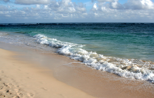 Wellen stürzen auf den Strand von Punta Cana - Foto, Bild