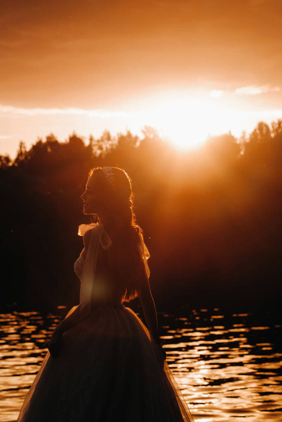 An elegant bride in a white dress enjoys nature at sunset.Model in a wedding dress in nature in the Park.Belarus. - Φωτογραφία, εικόνα