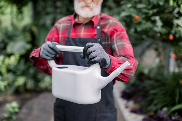 Horizontal cropped image of senior male bearded gardener, in red checkered shirt and black apron and gloves, showing to camera gray water can for watering plants in greenhouse. Focus on can - Foto, imagen