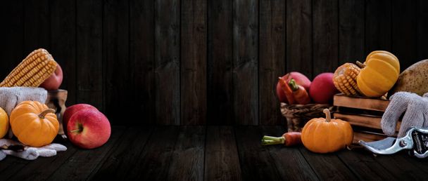 Cosecha de otoño cornucopia. Fondo de acción de gracias. Temporada de otoño con frutas y verduras orgánicas. - Foto, imagen