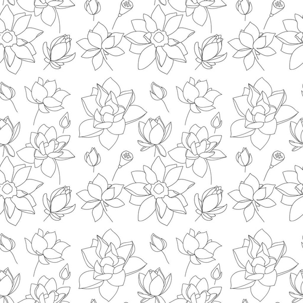 Naadloos patroon van lotusbloemen. Schets bloemen plantkunde collectie in omtrek zwart-wit stijl. - Vectorillustratie - Vector, afbeelding