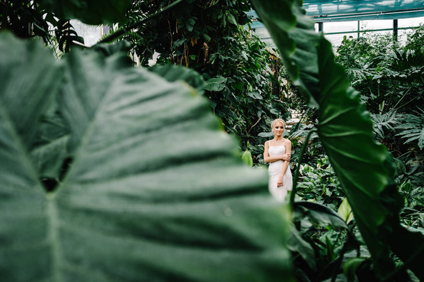 Portrait attractive blonde bride standing in a wedding dress on the background of greenery. Woman stand in the Botanical green garden full of greenery. Wedding ceremony. - Foto, Bild