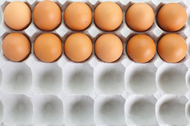 Fresh eggs in pater tray - Foto, afbeelding