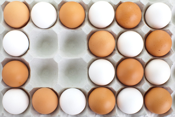 Huevos frescos en bandeja de pater
 - Foto, imagen