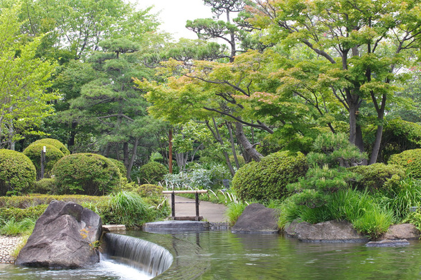 Japán kert - Fotó, kép
