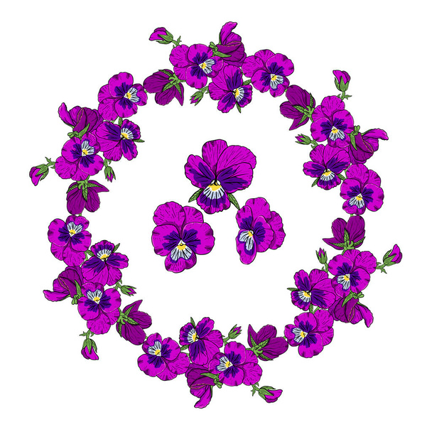 Hand drawn colorful pansy flowers circular wreath. - Vector, Image