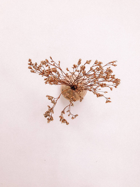 Dry floral branch on white background. Flat lay, top view minimal neutral flower background. Dry floral branch on white background. Flat lay, top view minimal neutral flower background. - Foto, Imagem