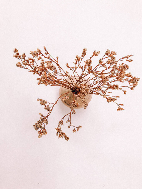 Dry floral branch on white background. Flat lay, top view minimal neutral flower background. Dry floral branch on white background. Flat lay, top view minimal neutral flower background. - Foto, afbeelding