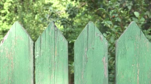 tableros de la antigua cerca verde arrastrado en un ángulo agudo - Imágenes, Vídeo