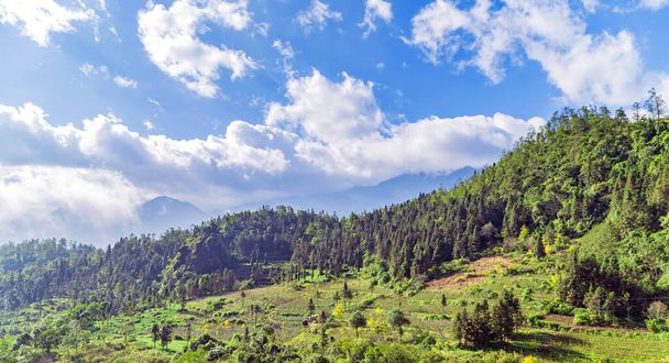 Тонкінські Альпи Зелені Рисові поля на терасах у Sa Pa Viet Nam Lao Cai - Фото, зображення
