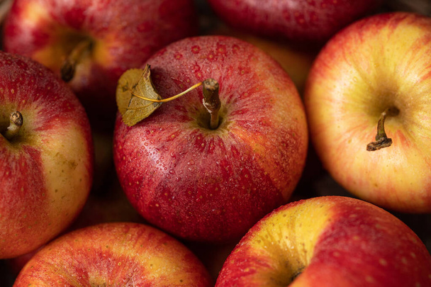 κόκκινα μήλα σε καλάθι - Φωτογραφία, εικόνα