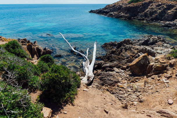 Wspaniały widok na wybrzeże Asinara skąpane w turkusowym i przejrzystym morzu z nikim na Sardynii, Włochy - Zdjęcie, obraz
