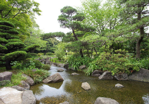 verde jardín japonés
 - Foto, Imagen