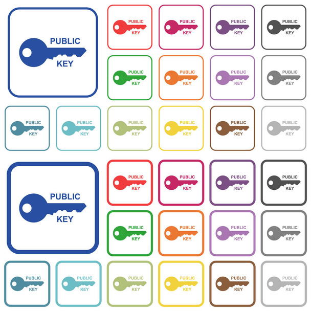 Öffentliche Schlüsselfarbe flache Symbole in abgerundeten quadratischen Rahmen. Dünne und dicke Versionen inklusive. - Vektor, Bild