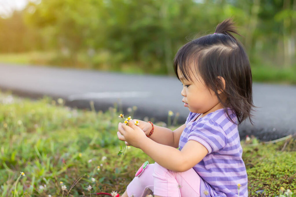 Imagem de retrato do bebê de 1 a 2 anos. Menina asiática feliz colhendo e tocando as flores e grama no campo do jardim. Aprendizagem, exploração e desenvolvimento do conceito de criança. - Foto, Imagem