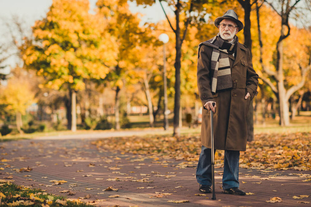 Full length photo of retired grey hair curious grandpa man walk desert park stick serious search bench sit wear long coat headwear scarf spectacles autumn colors street road path outdoors - 写真・画像