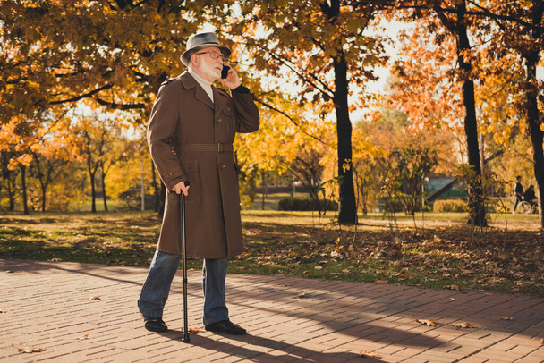 Full body profile photo of retired grey hair grandpa man walk desert park stick speak telephone sunny day doctor examination results discussion wear long coat headwear autumn colors outdoors - 写真・画像