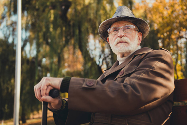 Photo of minded dreamy old man rest relax evening autumn forest park sit bench with walking stick look dream past days wear seasonal outerwear - Foto, imagen