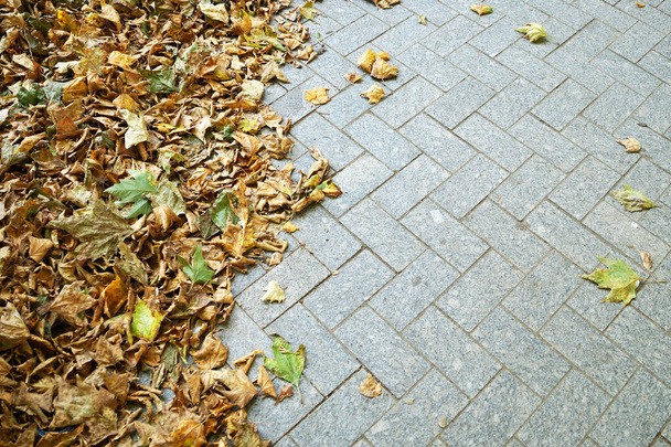 žluté podzimní listí na chodníku, kopírovací prostor - Fotografie, Obrázek